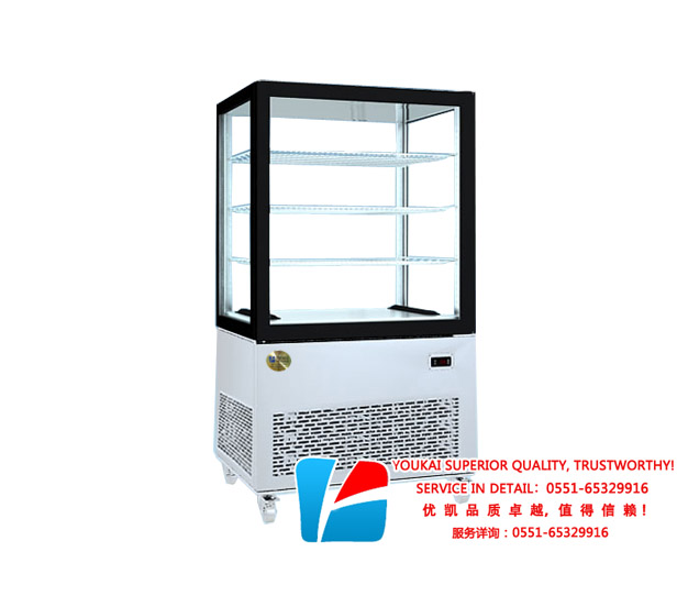 RTD-350L冷冻柜